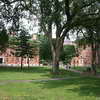 Harvard Yard
