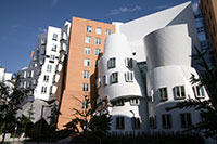 Street facade of the Stata Center in Boston