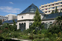 Palmenhuis in de Botanische tuin in Boedapest