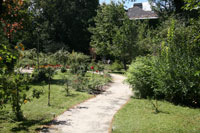 De Botanische tuin van Boedapest
