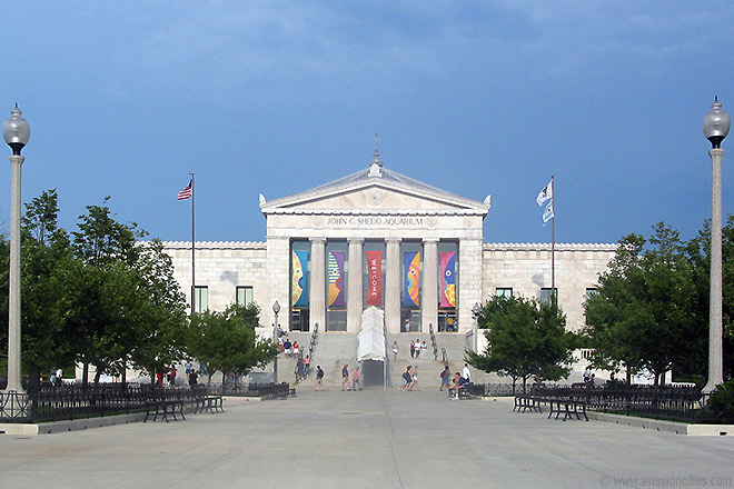 Shedd Aquarium Map