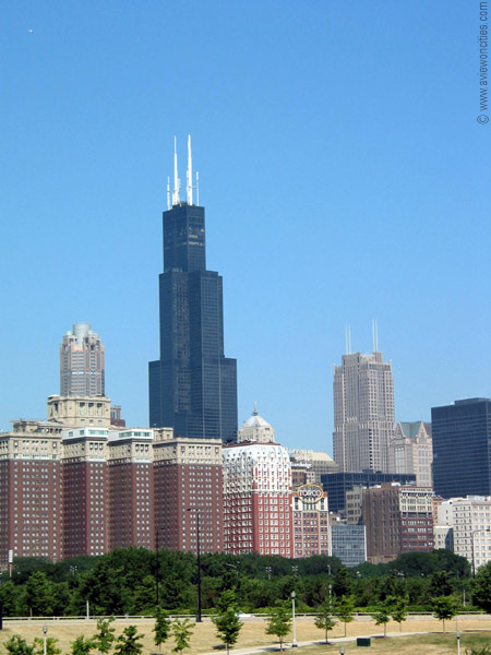 Sears Tower seen from the Shedd Aquarium