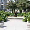 Congress Plaza Garden, Grant Park