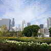 Daley Bicentennial Plaza