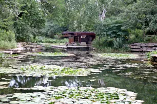 Lily Pool, Lincoln Park, Chicago