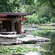 Alfred Caldwell Lily Pool Gardens