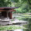 Alfred Caldwell Lily Pool Gardens