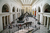 Field Museum, Chicago