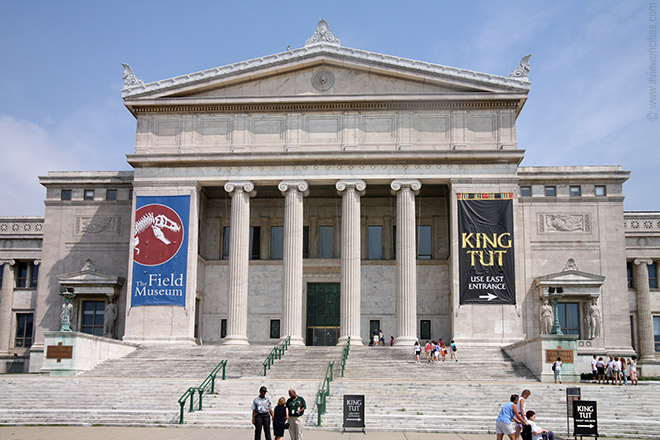 Facts About The Field Museum Of Natural History Facts About The Field Museum Of Natural History