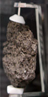Moon Rock, Tribune Tower