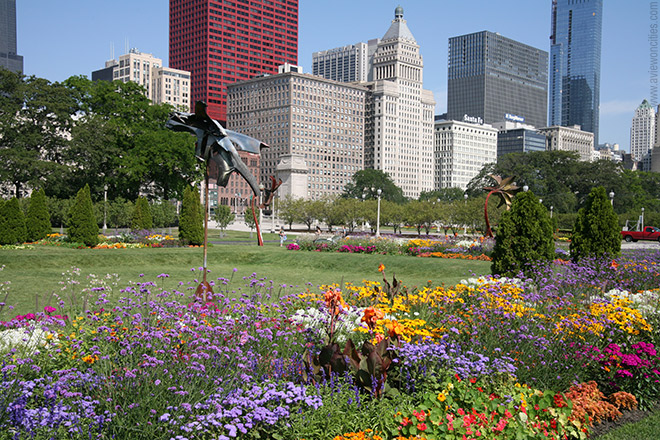 Flowers and modern art at Grant Park