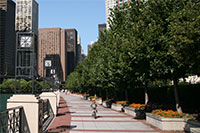 River Esplanade