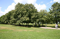 Lincoln Park