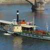 Paddle Boat on the Elbe
