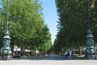 Hauptstraße, Dresden