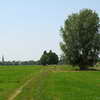 Elbe riverbank