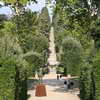Viottolone, Boboli Gardens