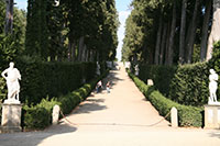 Viottolone, Boboli Gardens
