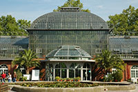 Palm House