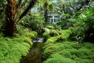 Stream inside the Palm House in Frankfurt