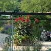 Von-Bethmann-Park