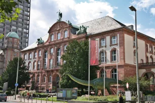 Senckenberg Museum of Natural History, Frankfurt am Main, Germany