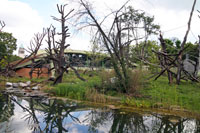 Borgori Forest, Franfurt Zoo