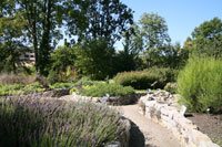 Medicinal gardens, Botanical Garden, Frankfurt am Main
