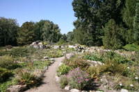 Alpine Garden, Botanical Garden, Frankfurt