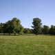 Grüneburgpark, Frankfurt