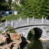Bridge in the Chinese Garden