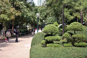 Manicured bushes in Kowloon Park, Hong Kong