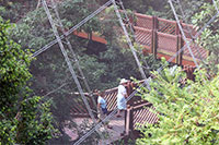 Hong Kong Park Aviary