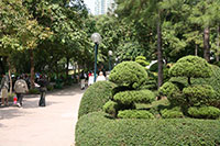 Kowloon Park