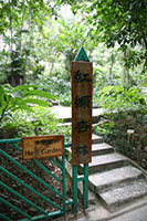 Herb Garden, Hong Kong