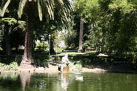 Jardim da Estrela, Lisbon