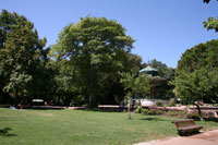 Estrela Garden