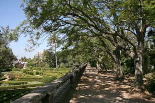 Upper level of the Ajuda Botanical Garden in Lisbon