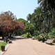 Jardim da Estrela