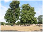 Hyde Park