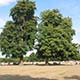 Hyde Park