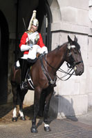 Garde Royale à cheval, Horse Guards, Londres