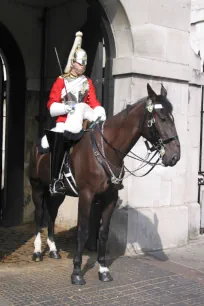 Mounted Life Guard at the Horse Guards in London