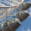London Eye Capsules