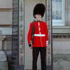 Guard at Buckingham Palace