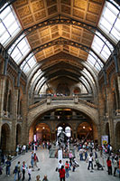 Intérieur du Musée d'Histoire Naturelle à Londres