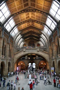 Inside the Natural History Museum, London