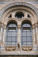 Fenêtre du Musée d'Histoire Naturelle