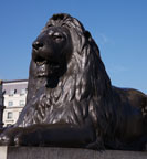 Ein Landseer-Löwe, Trafalgar Square, London