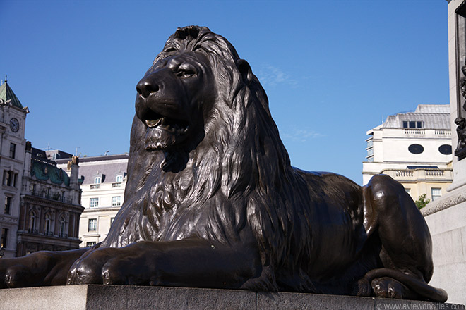 Lion Statue, Trafalgar Square